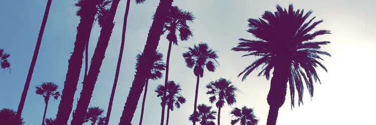 ZHH7's profile banner image