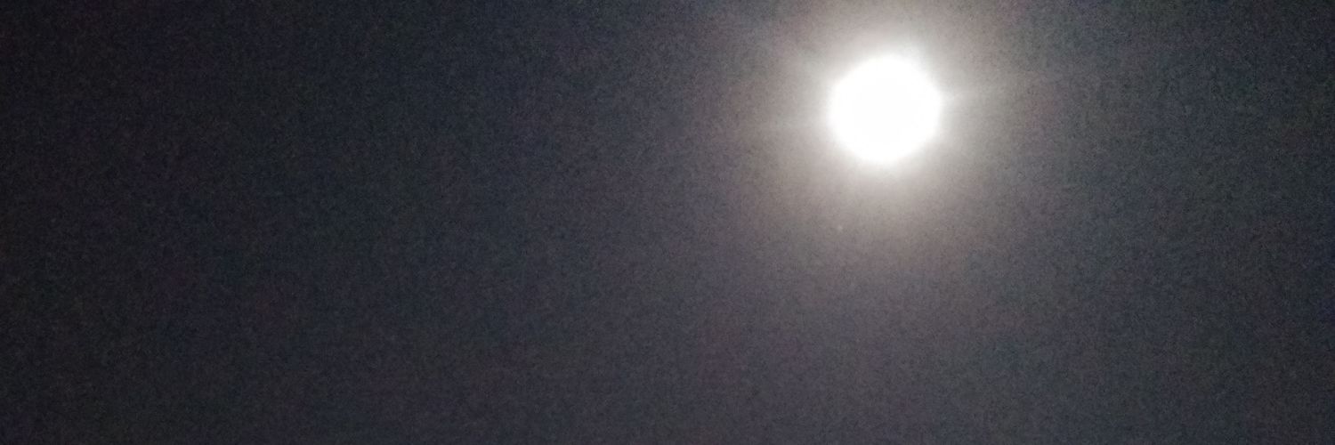 shynchann's profile banner image