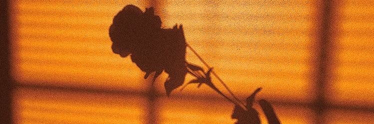 lubabanextdoor's profile banner image