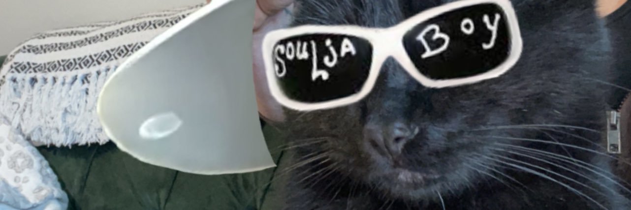 TaylorRodie12's profile banner image