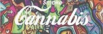 KwakeTheVegan's profile banner image