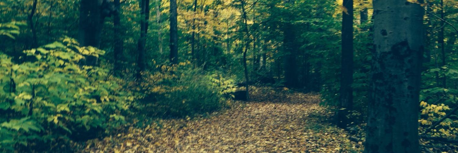 Sarns_Artist's profile banner image