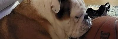 itsAwgs's profile banner image