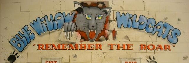 BlueWillowPS's profile banner image