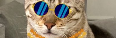ghairbeh's profile banner image