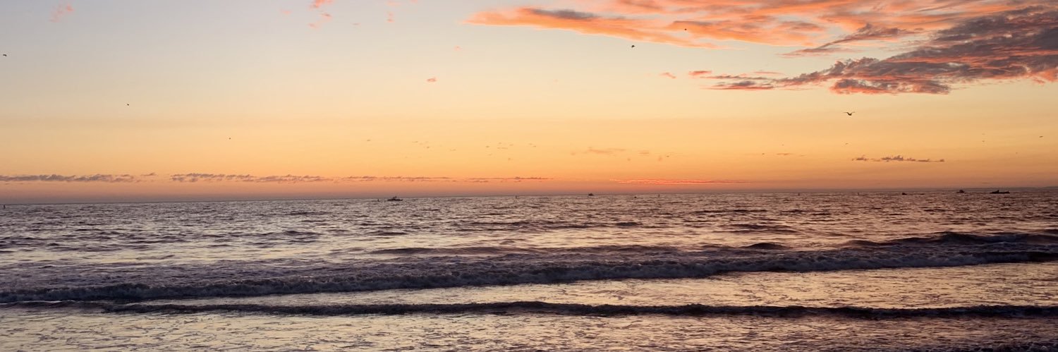 taylar_erickson's profile banner image