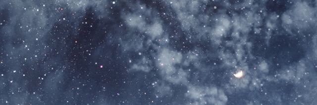 Scarlette Jon banner