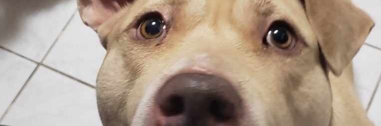 jessparles's profile banner image