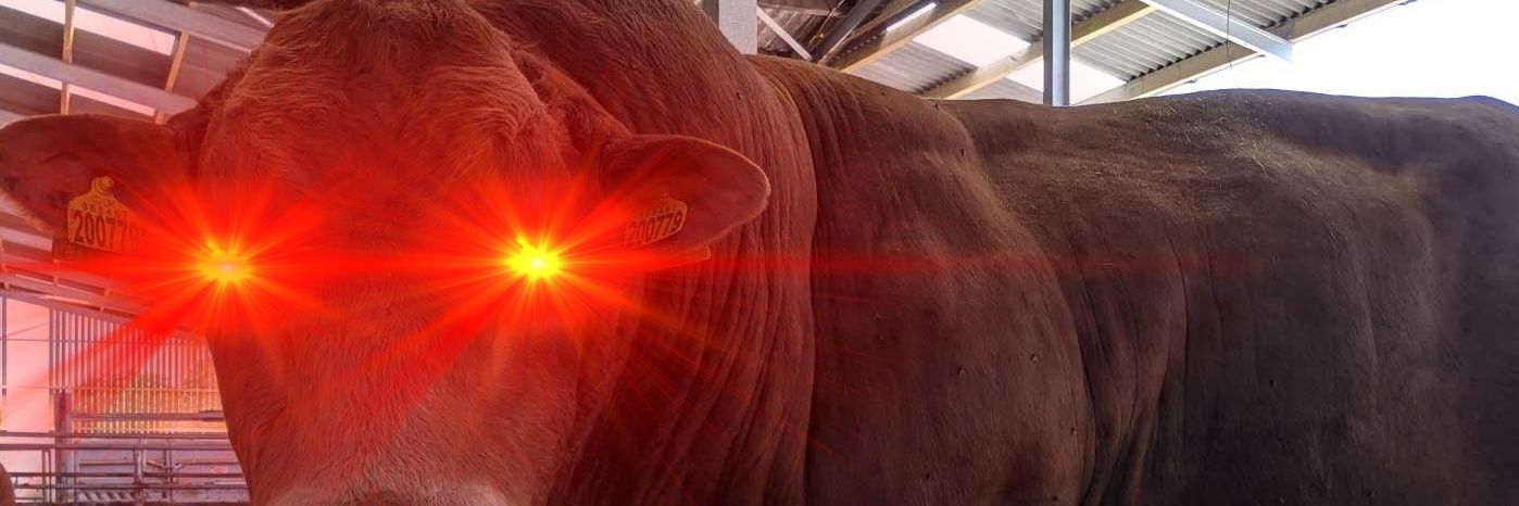 Stephen 10%er banner