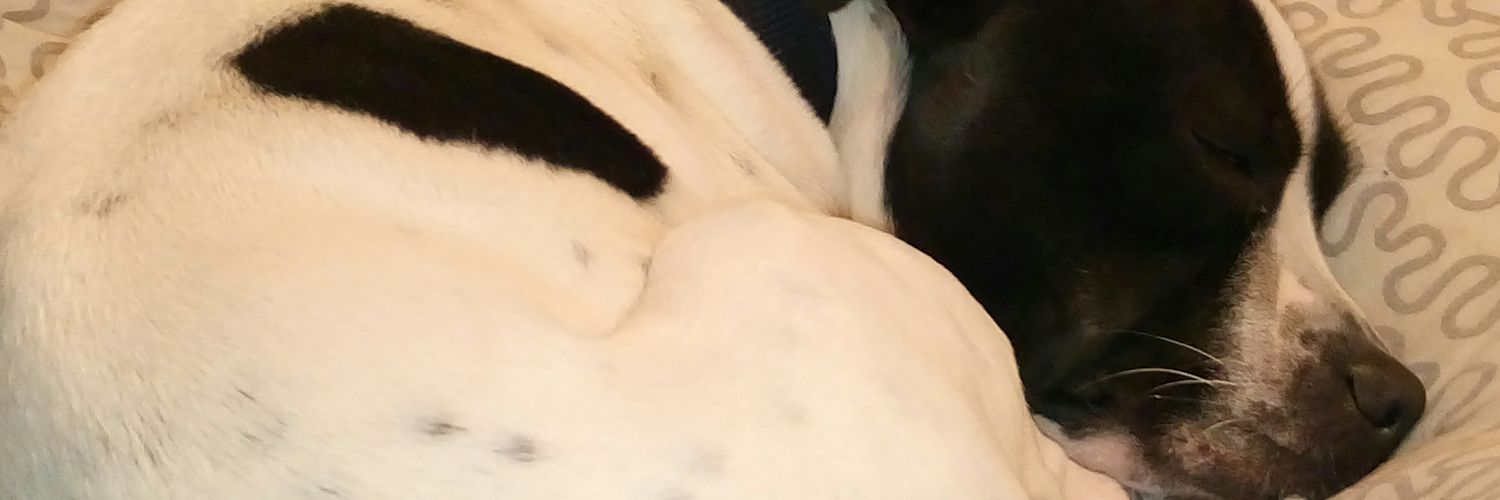FraSoTweet's profile banner image