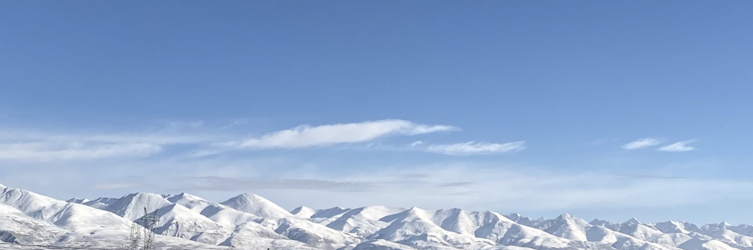 kunglingwei's profile banner image