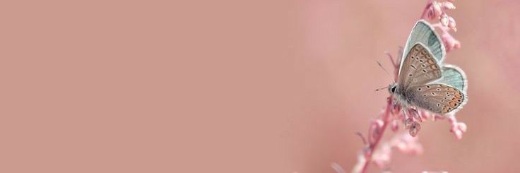 xcarolinacb's profile banner image
