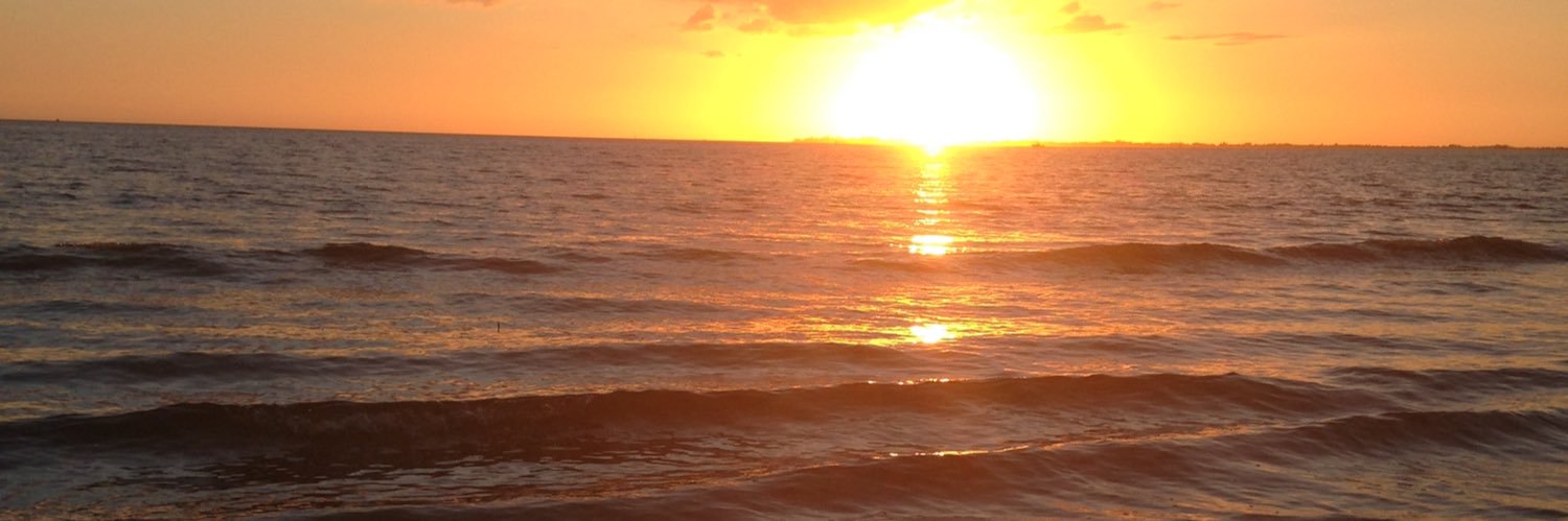 savkies's profile banner image
