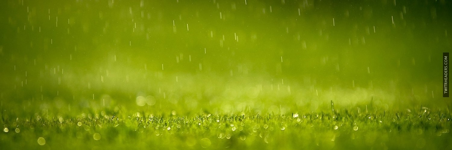 Beyond415's profile banner image