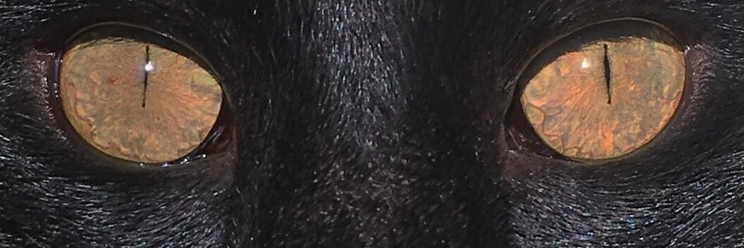 ofakueran's profile banner image