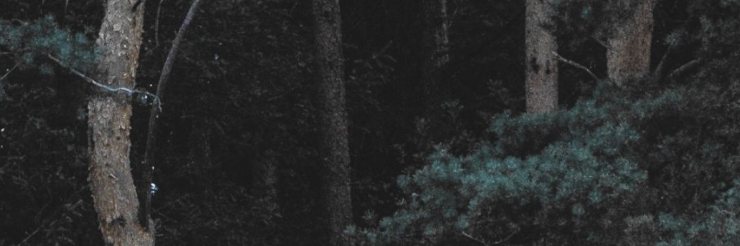 A. Ece Gezen,MD banner