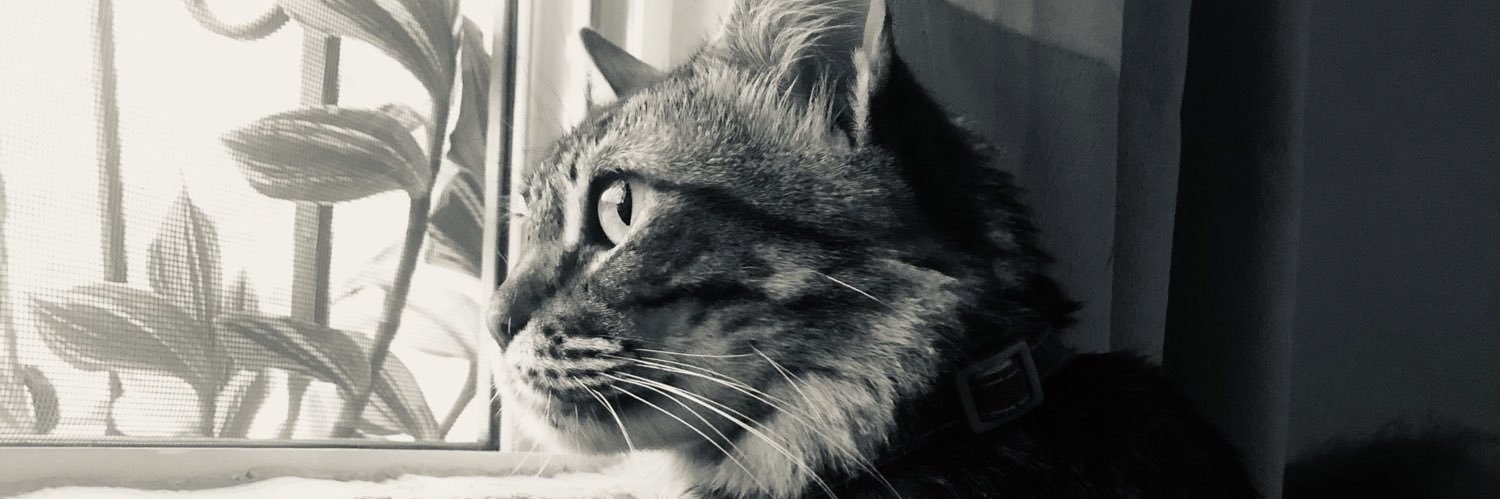 Letiruizm's profile banner image