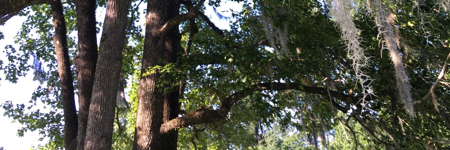 Robbie Endris banner