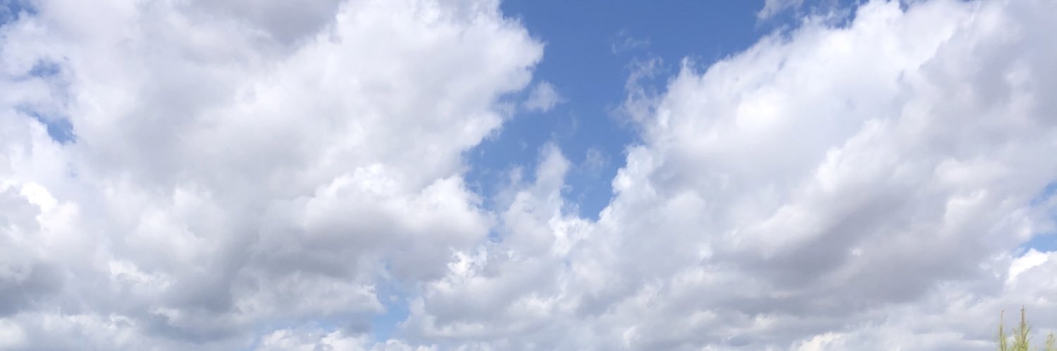 marcribera's profile banner image