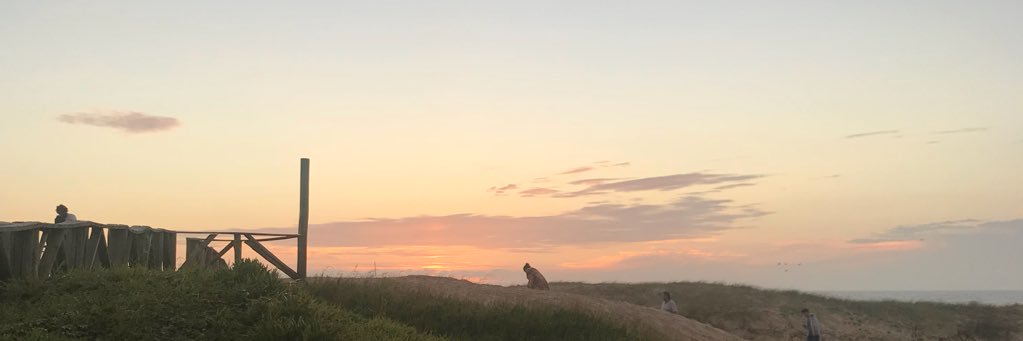 yasmimbazzann's profile banner image