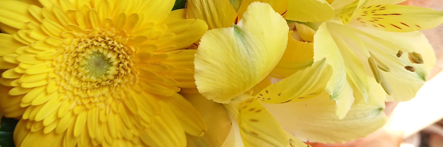 woomin0130's profile banner image