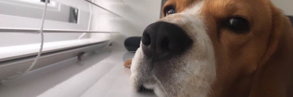 emmaabarron's profile banner image