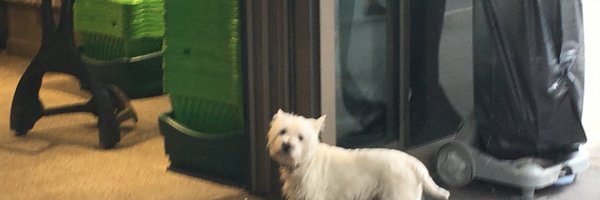 zo_shooters Profile Banner