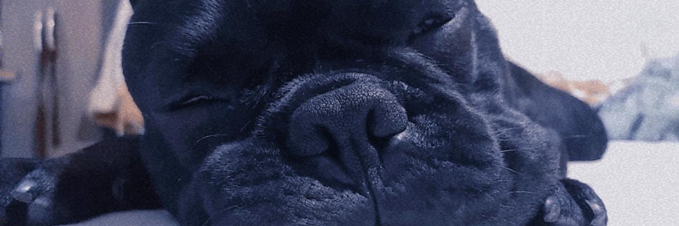 borda_thian's profile banner image