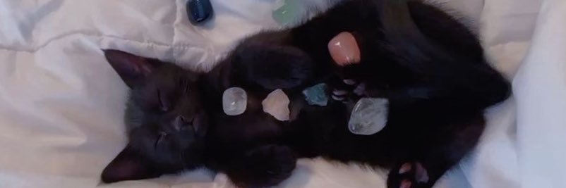 callie_pratt's profile banner image