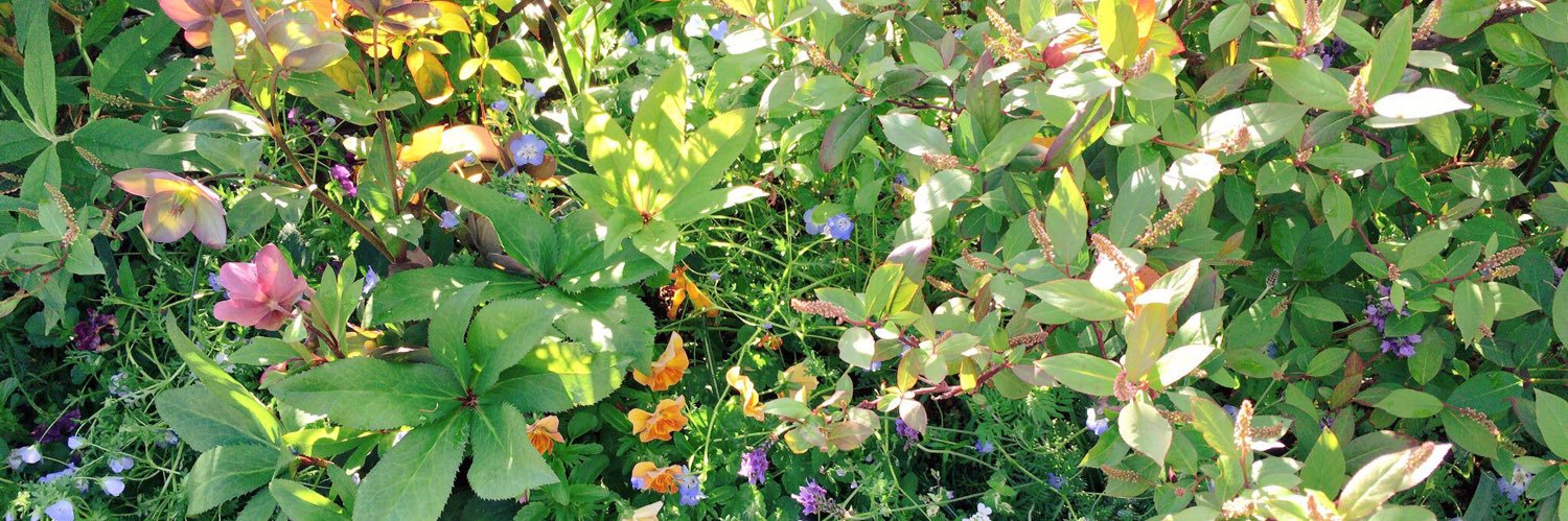 _yusen's profile banner image