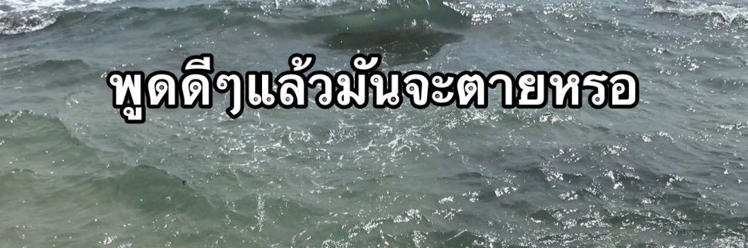 ㅓ✨ banner