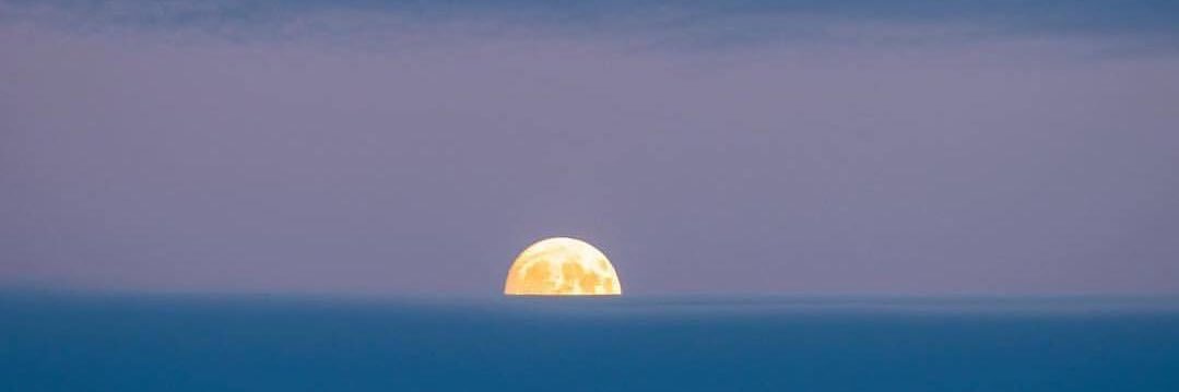 940111DPJ's profile banner image