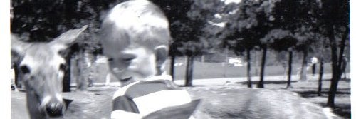 marion kinder banner