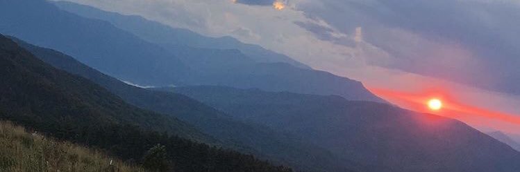 Matthew George banner