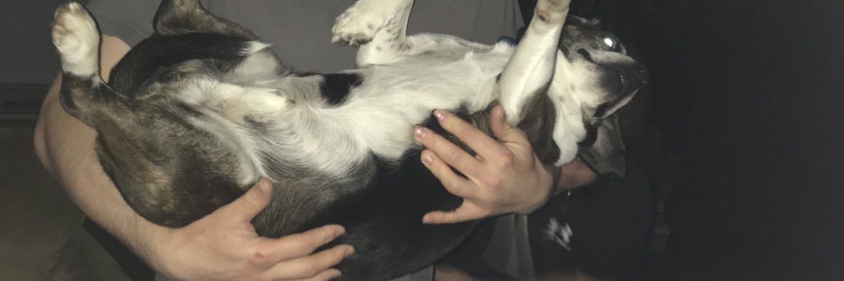 jonnybrown_7's profile banner image