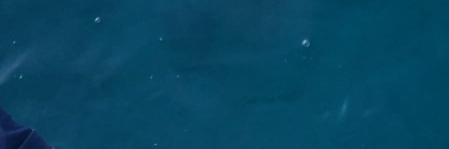 jobblegobble's profile banner image