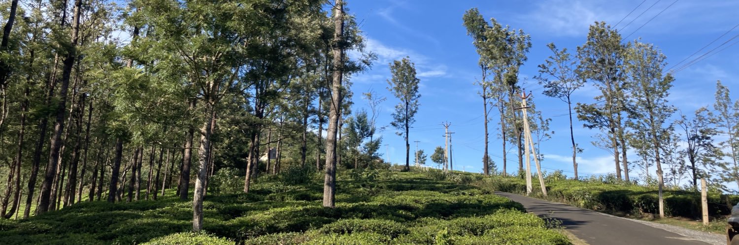 Monika Monalisa banner