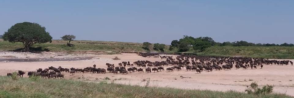 AfricaEventsTra's profile banner image