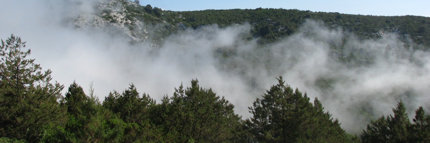 rsinnbeck's profile banner image