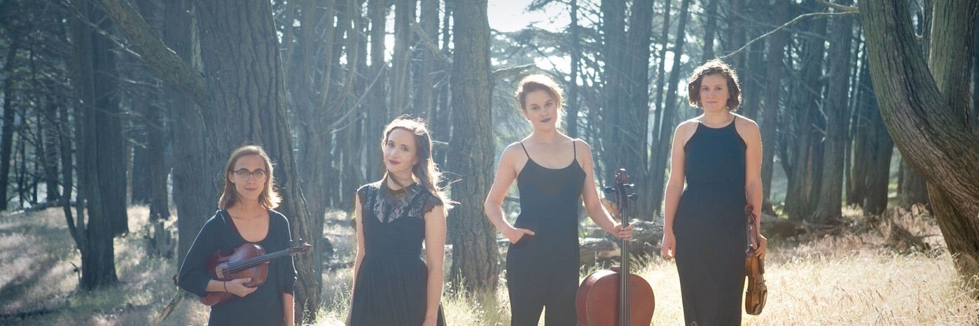amaranthquartet's profile banner image