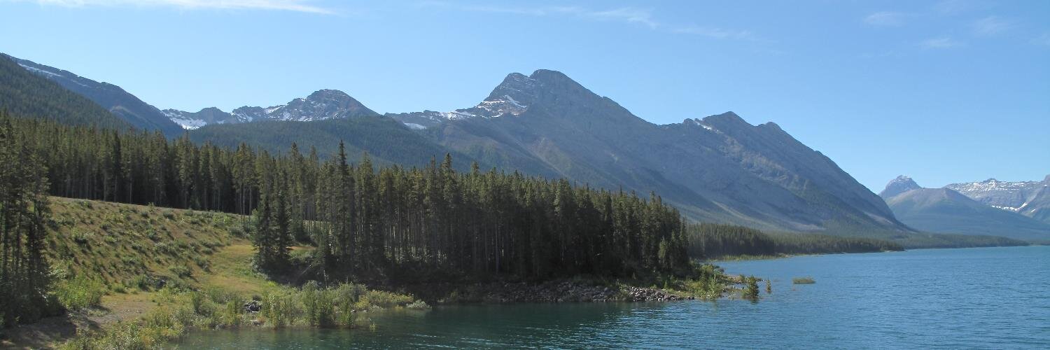 Robert Cooper banner