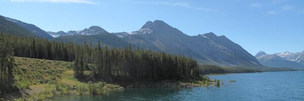 RobACooper Profile Banner