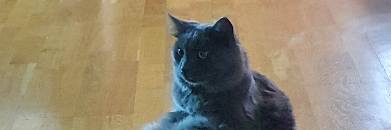 SMJZNO's profile banner image