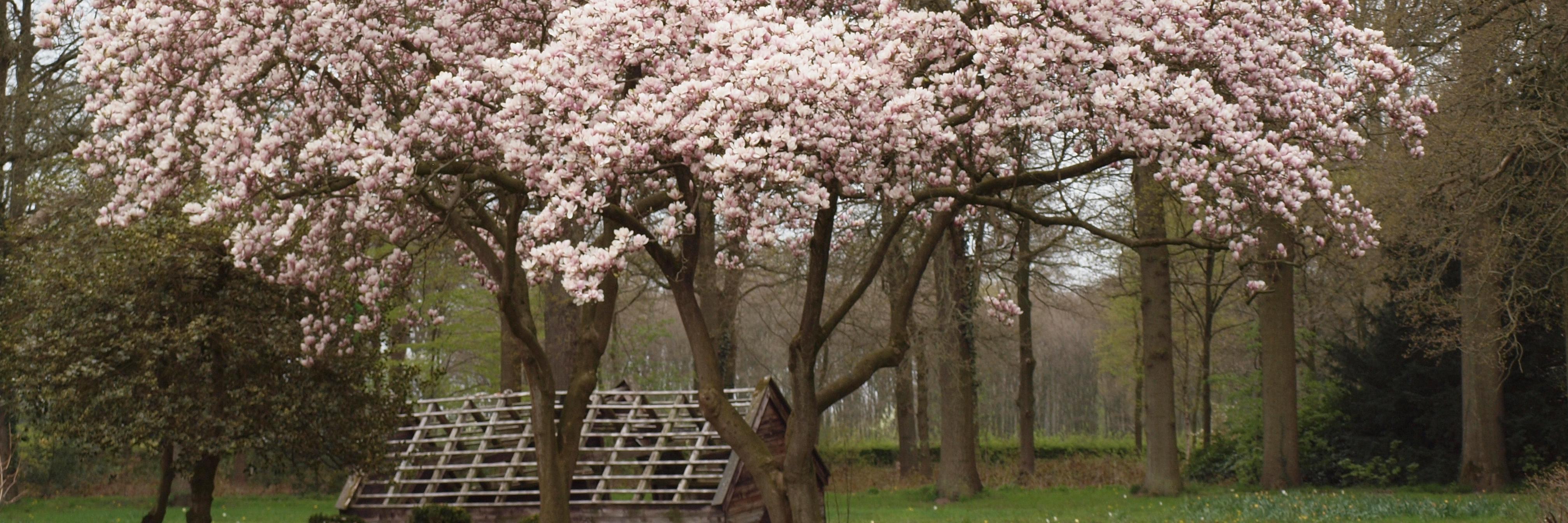 Spijkerbosch_'s profile banner image