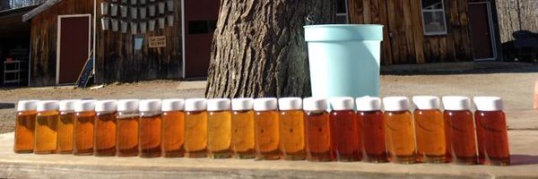 FultonsMaple Profile Banner