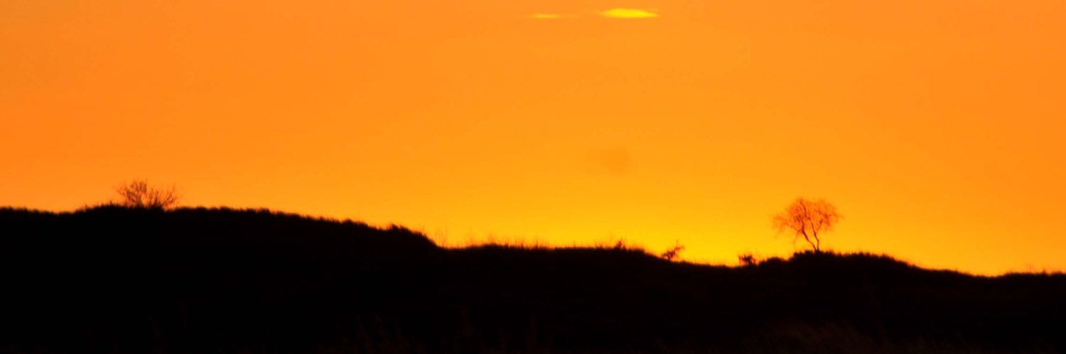 geegee_412's profile banner image