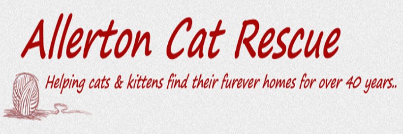 Allerton Cat Rescue banner