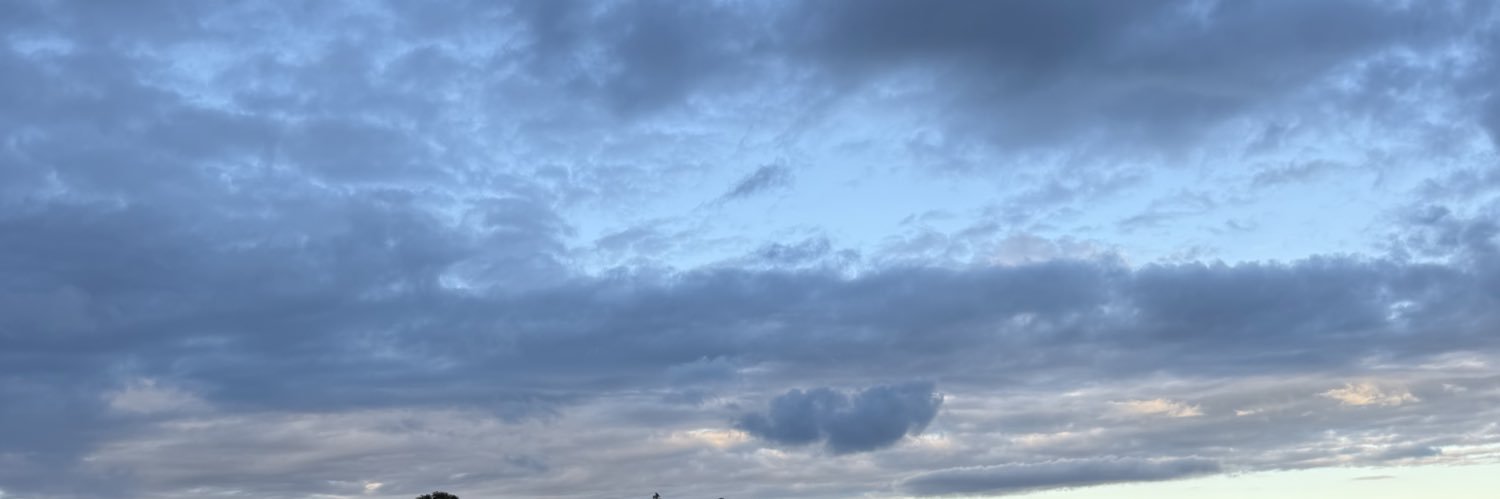 EncinasJuli's profile banner image