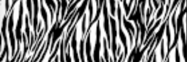 AshleyAnacker's profile banner image