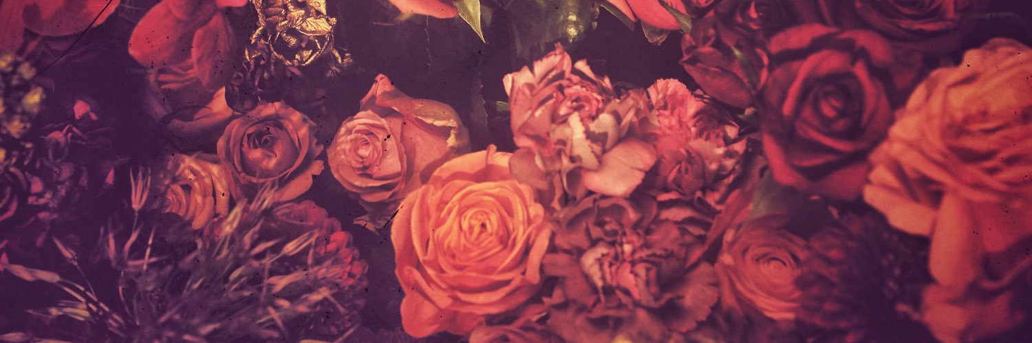 SEIL LIEN banner